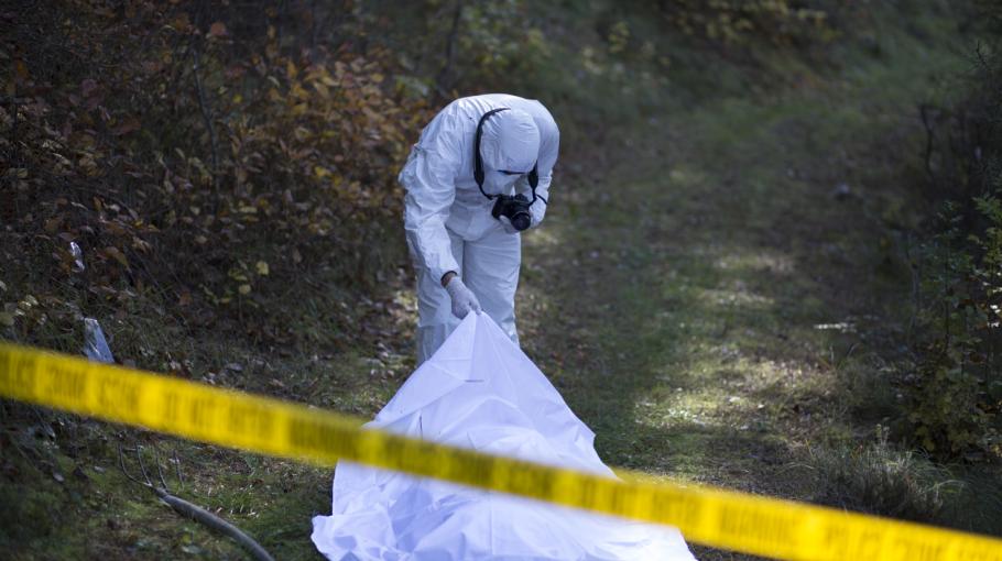 Une scène de crime dans les bois
