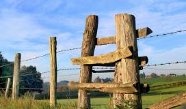 Un champ en Corrèze