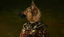 Un corps humain avec un tête de chien (photomontage)