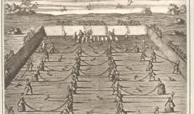 Un lancer de renard en 1719