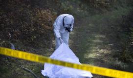 Une scène de crime dans les bois